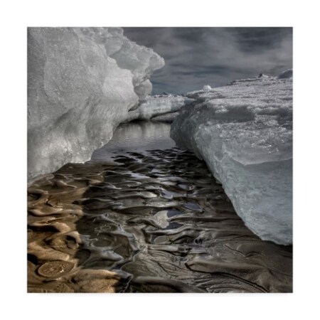 Trademark Fine Art Yvette Depaepe 'Facing The Frozen' Canvas Art, 35x35 1X05448-C3535GG